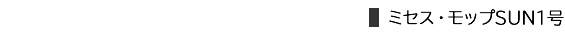 ミセスモップＳＵＮ１号